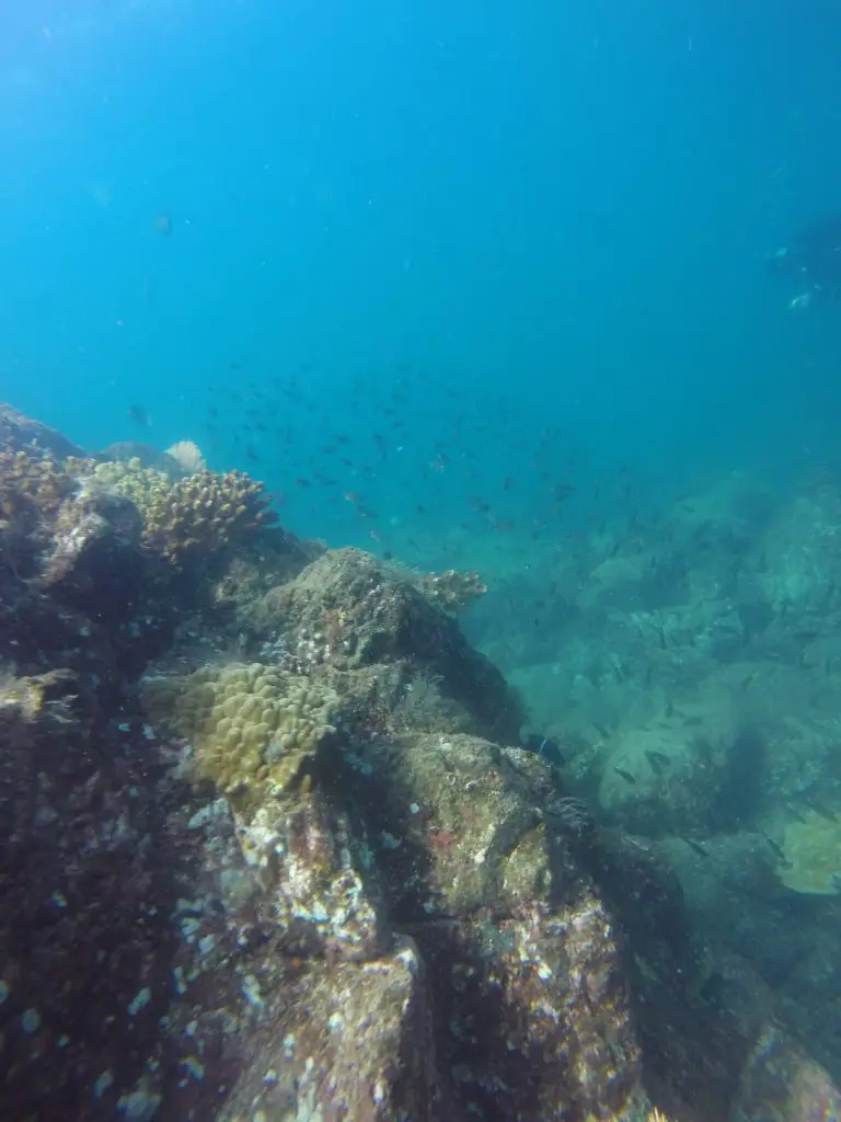 coiba national park diving