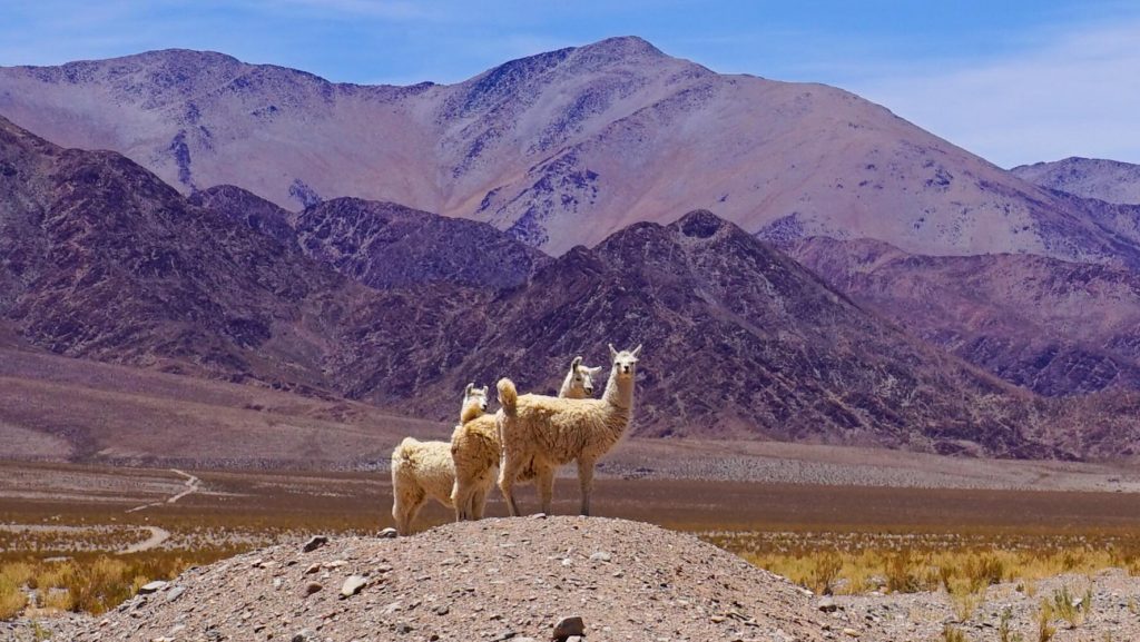 The Impossible Fourteen Coloured Rainbow Mountain In Argentina