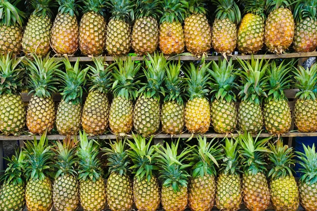 chia te pineapple cake | chiate pineapple pastry | chia te pineapple tarts | chia te pineapple pastry online | pineapple cake taiwan