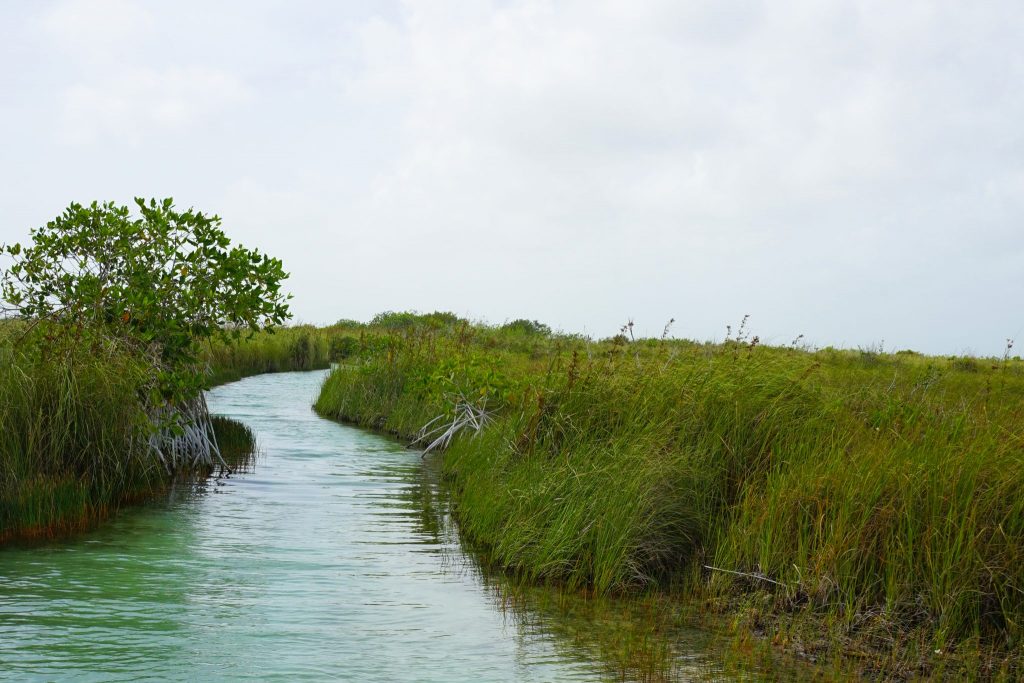 Unforgettable Sian Ka'an Tour On a Eco-Day Trip From Tulum, Mexico!