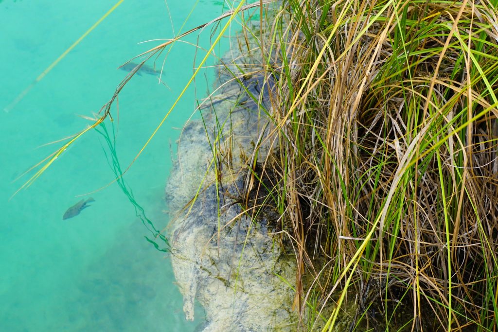 Unforgettable Sian Ka'an Tour On a Eco-Day Trip From Tulum, Mexico!