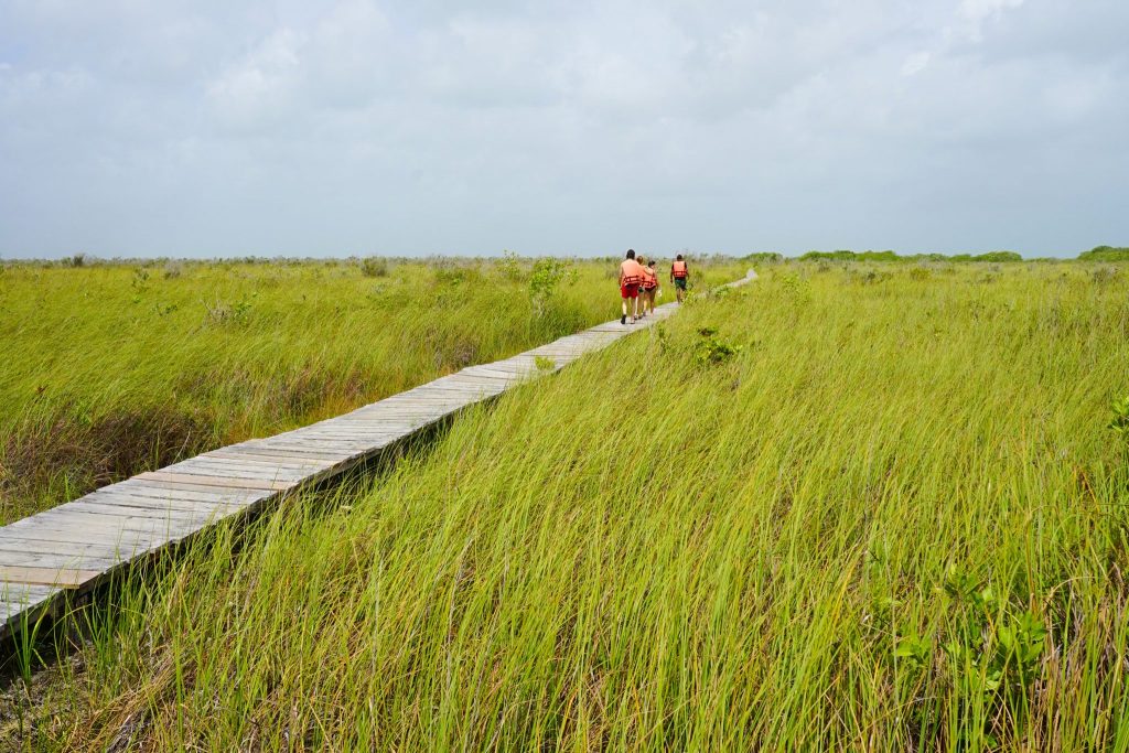 Unforgettable Sian Ka'an Tour On a Eco-Day Trip From Tulum, Mexico!