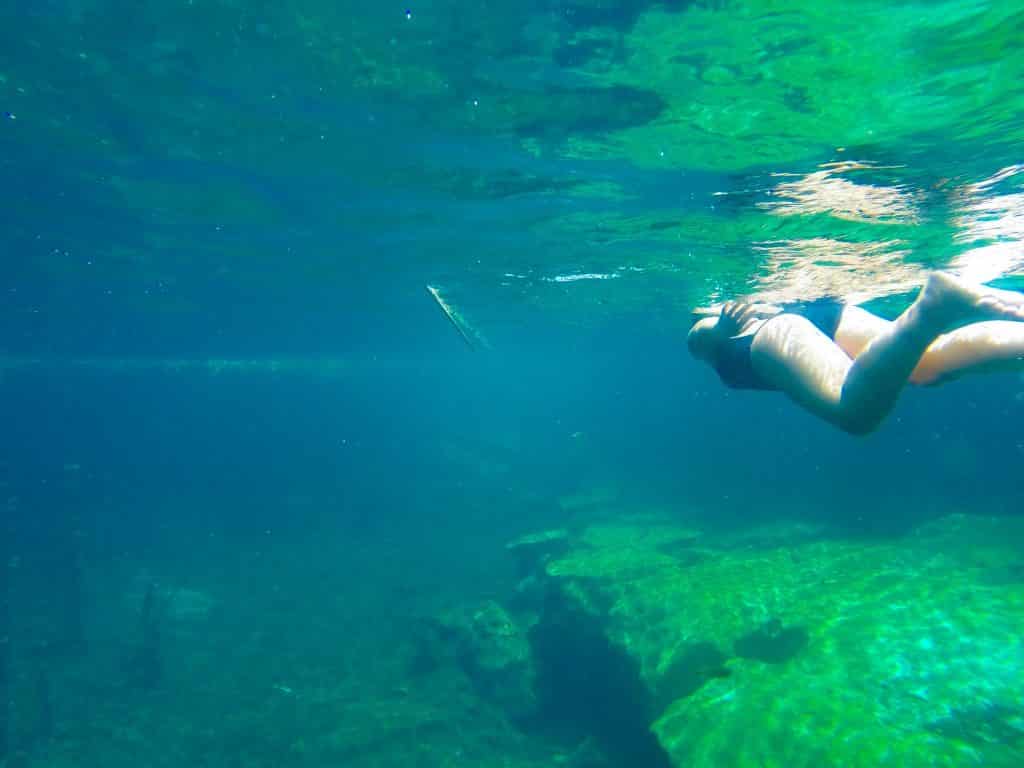 Cenote Escondido Tulum quintana roo mexico - tulum cenotes tulum underground river tulum underwater