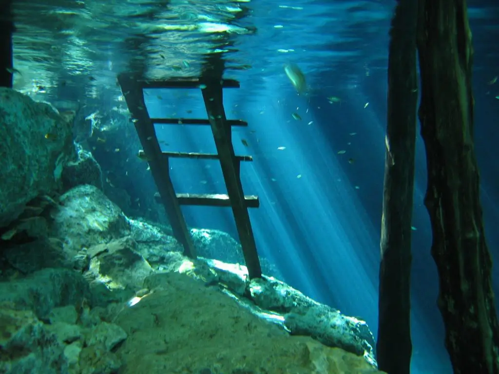 tulum cenote diving | scuba diving tulum