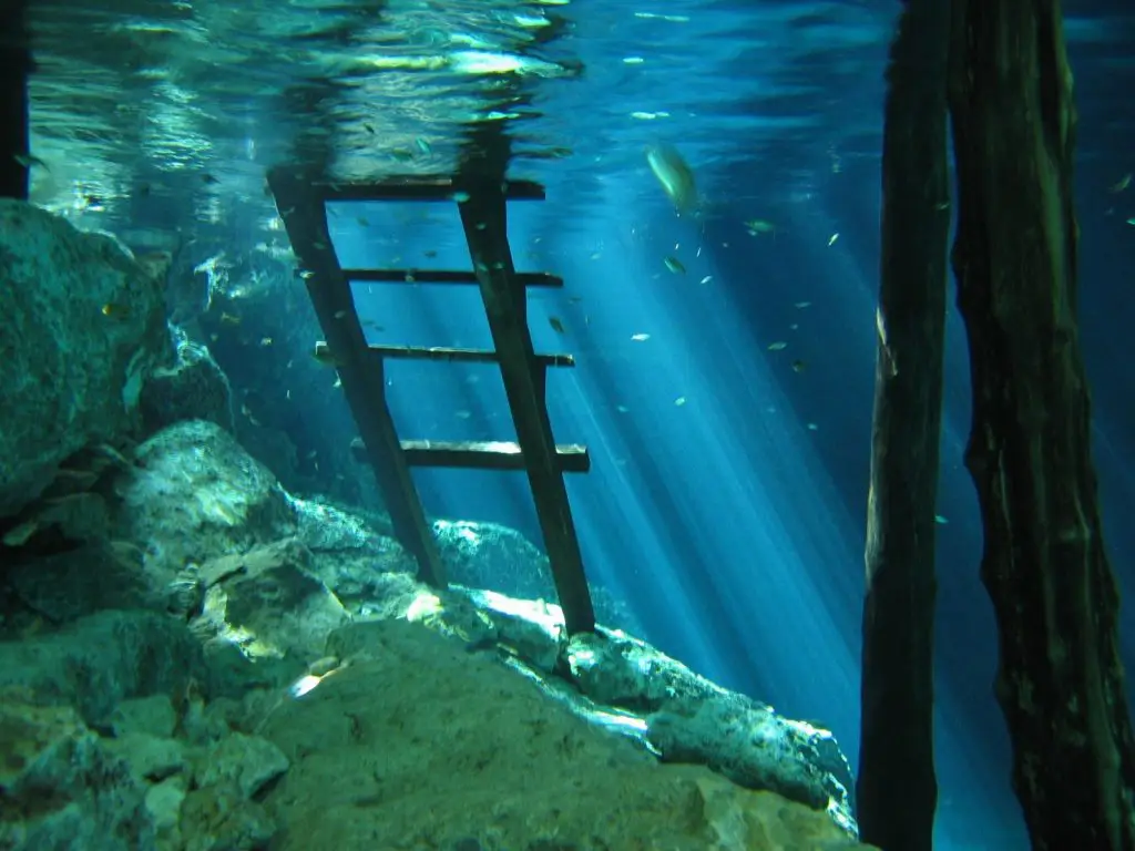 Tulum Cenotes