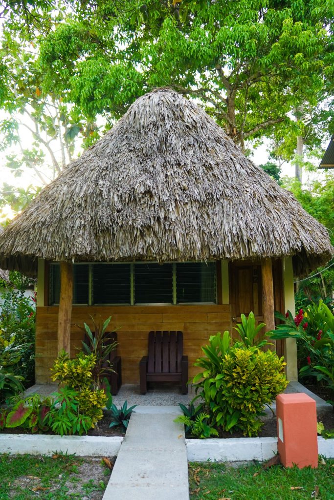 Tikal Hotels / Tikal Accommodation in a Tikal Jungle Lodge