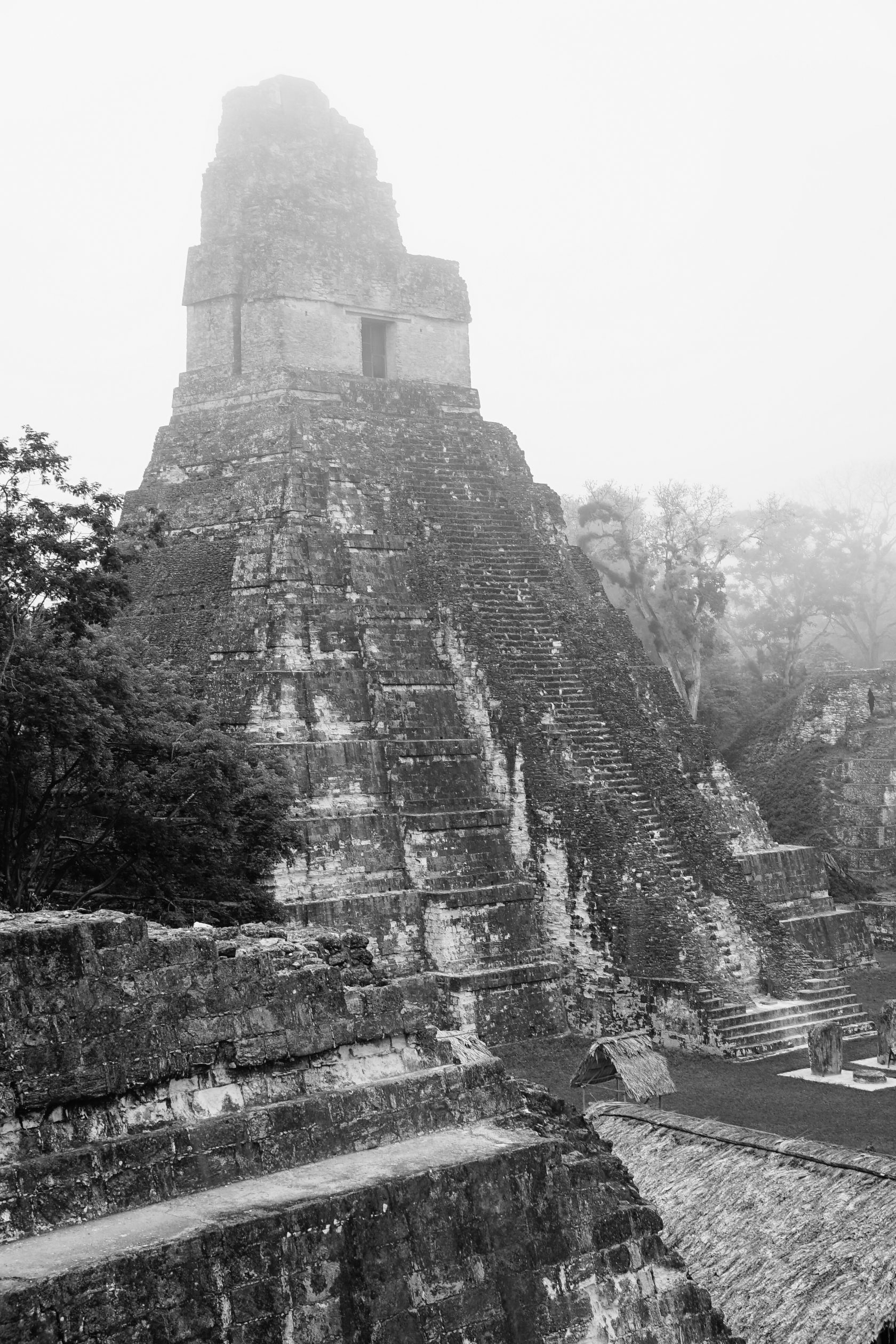 The Ultimate Tikal Guide: Unlocking Tikal National Park In Guatemala