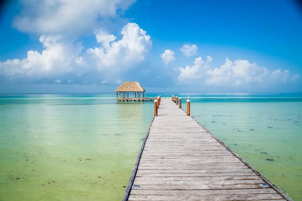 holbox mexico whale shark season | Island Isla Holbox Holbox Holbos Island