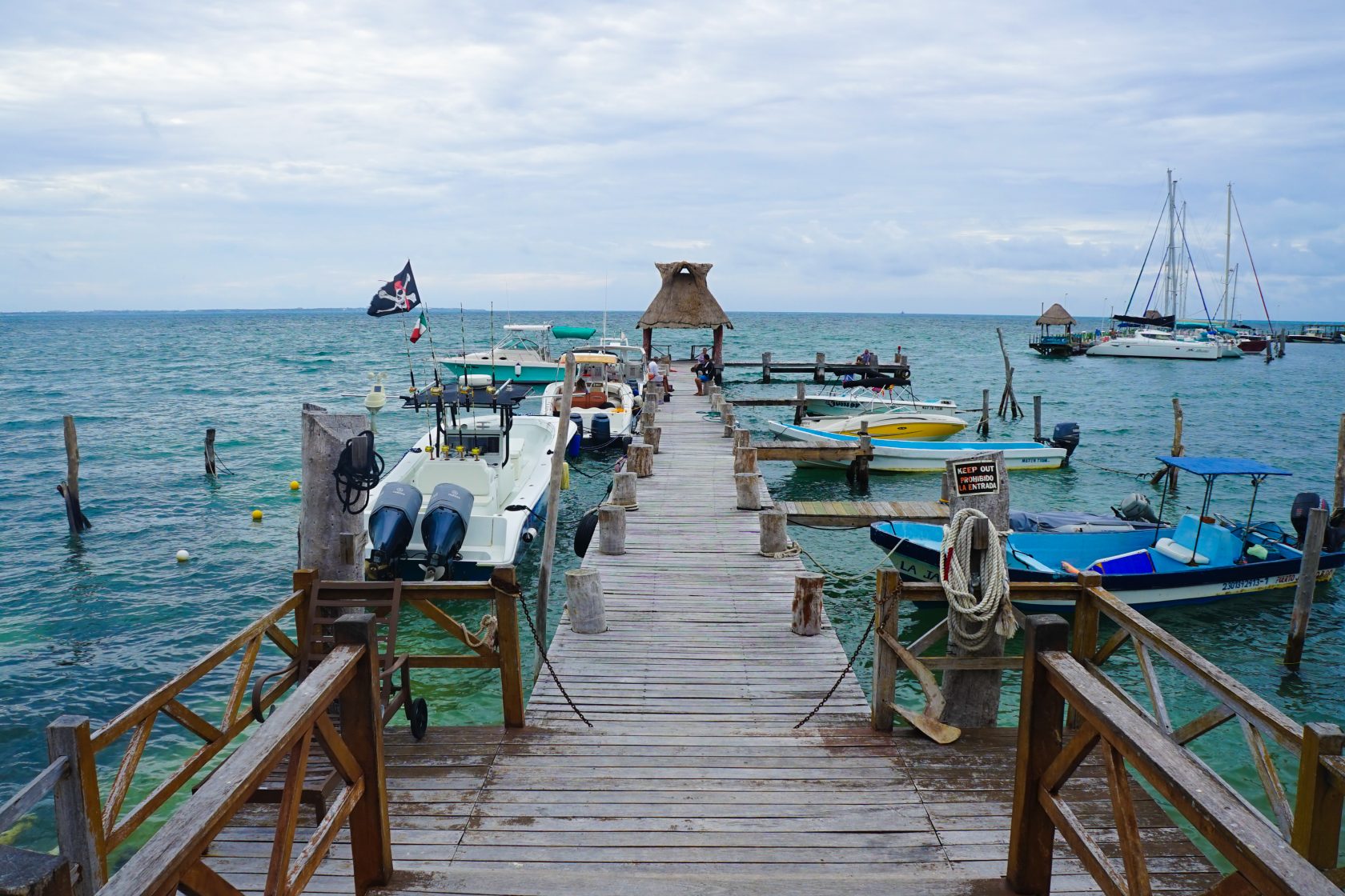 How To Swim With Whale Sharks From Tulum: The Complete Guide!