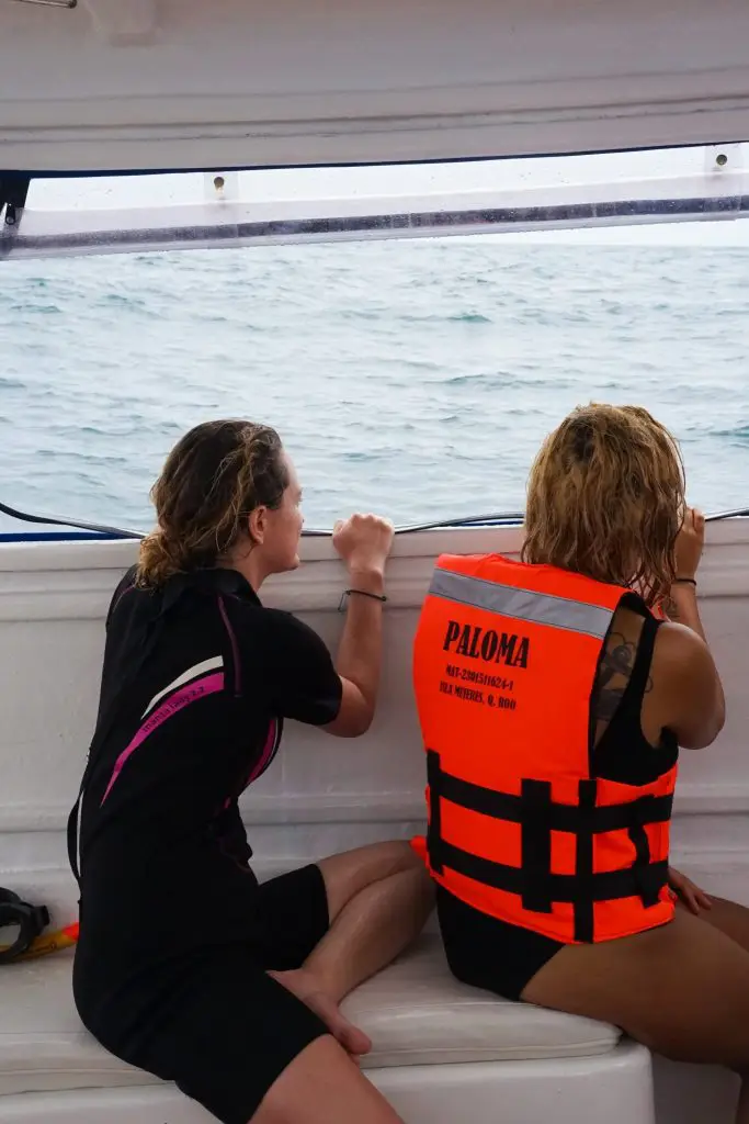 whale shark diving tulum | cancun whale shark tours | swim with whale sharks cancun