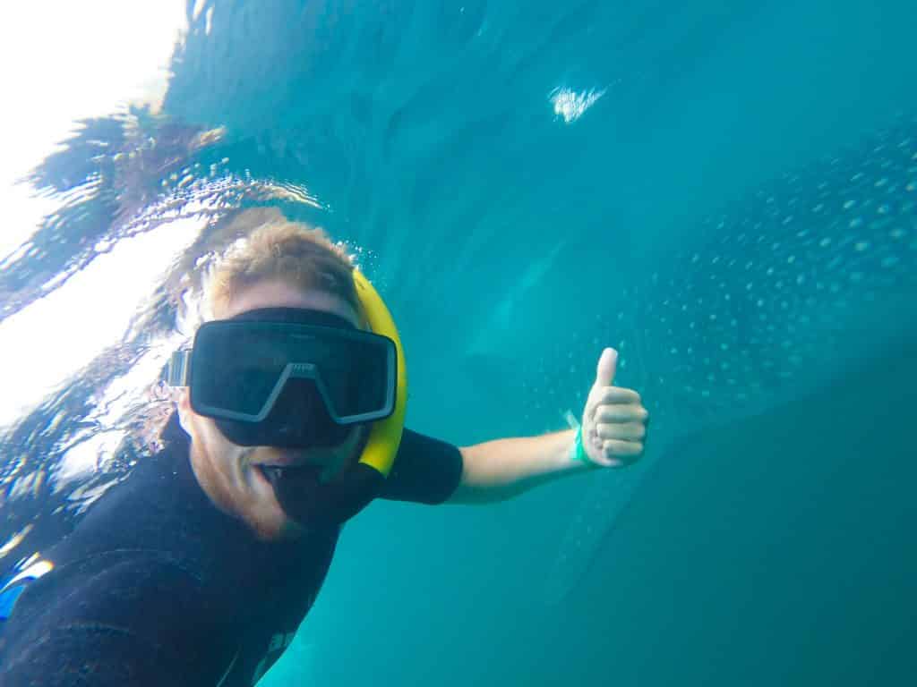 tulum shark diving