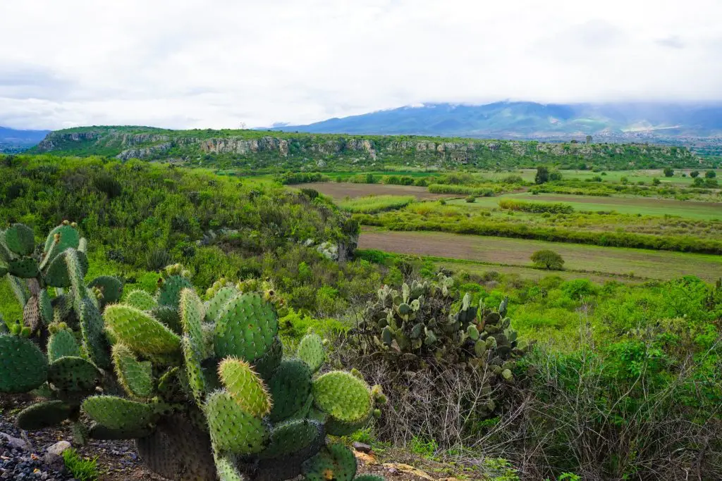 what to do oaxaca city - NESCO Listed Prehistoric Caves of Yagul in the Central Valley of Oaxaca!