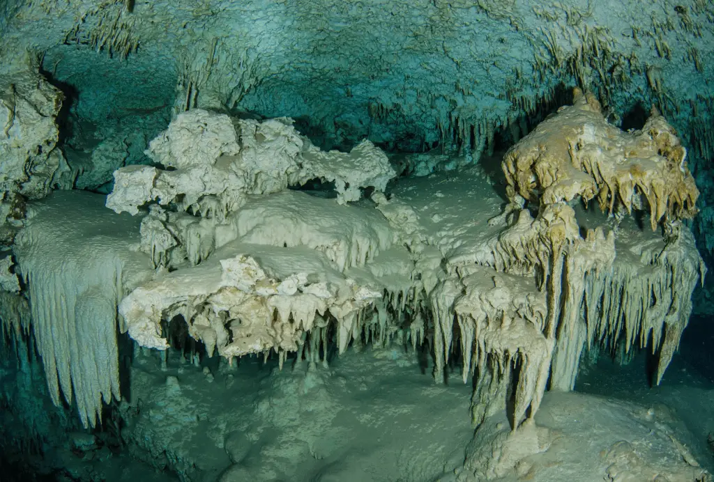 Tulum Cenotes Dos Ojos