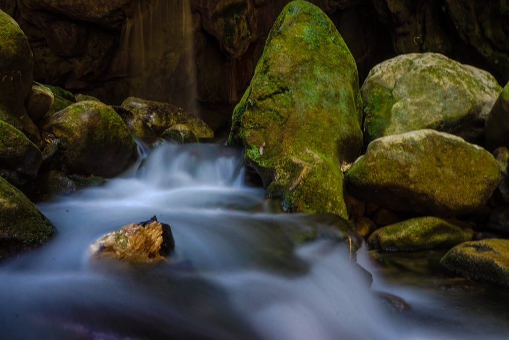 Cueva Puente de Dios Sierra Gorda Biosphere Reserve In Mexico!