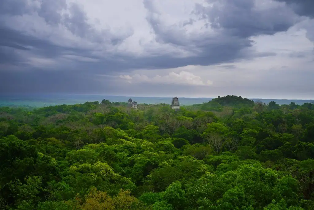 tikal guatemala star wars / tikal mayan ruins / tikal pyramids