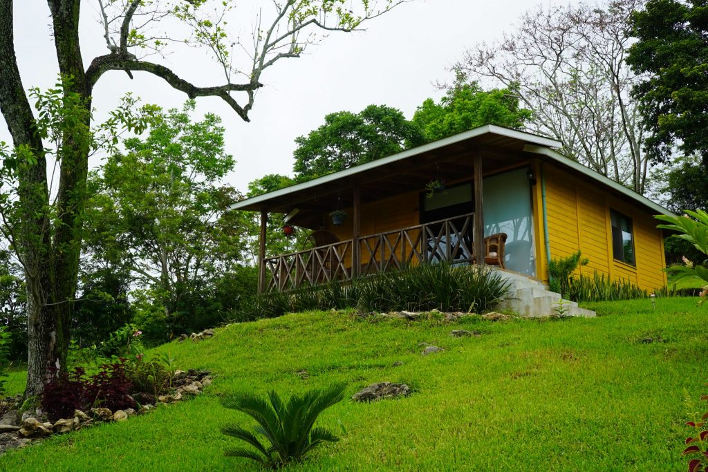 Winíka Hotel & Resorts Palenque Mexico: Relax In Nature’s Embrace