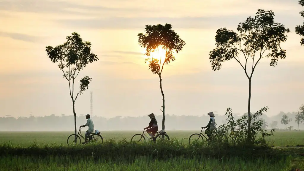 things to do in hoi an bike tour