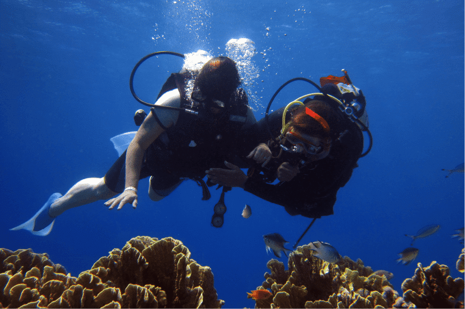 10 Reasons to Discover Diving on Your Gap Year