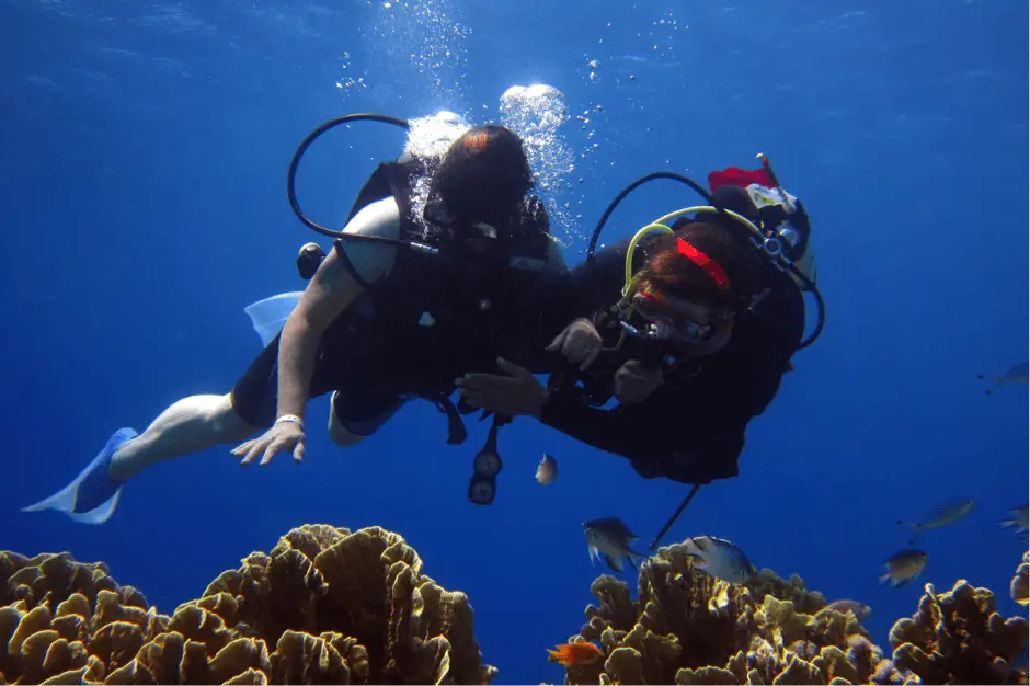 10 Reasons to Discover Diving on Your Gap Year