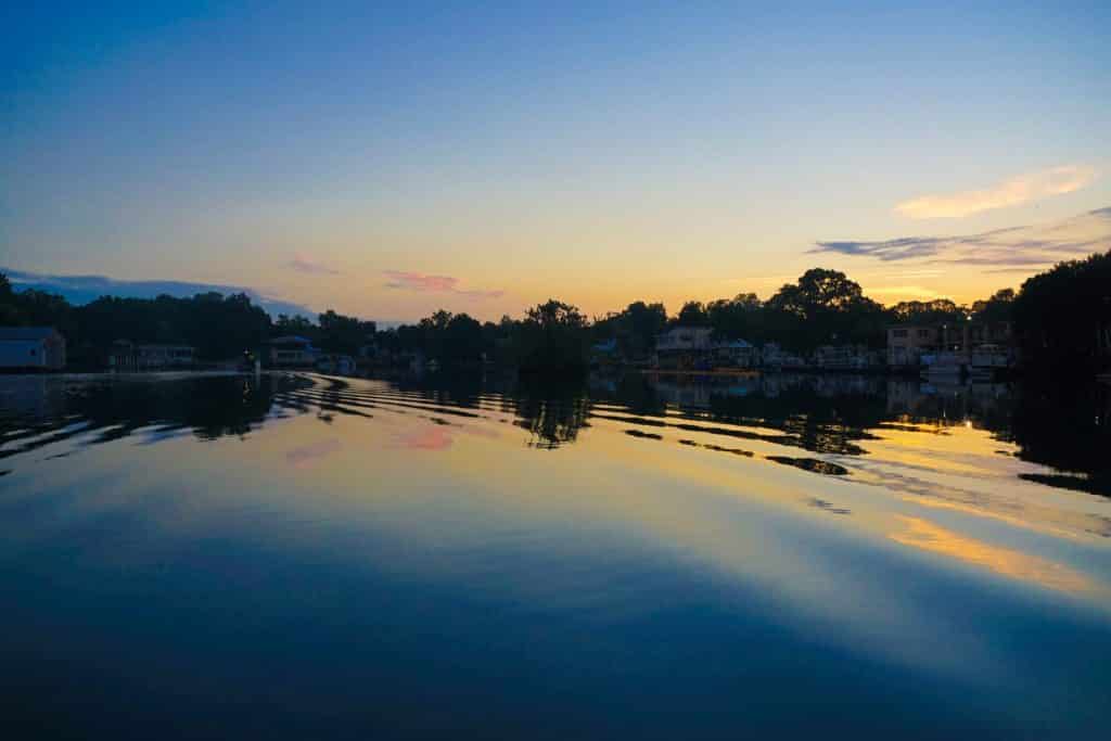 swim with manatees florida