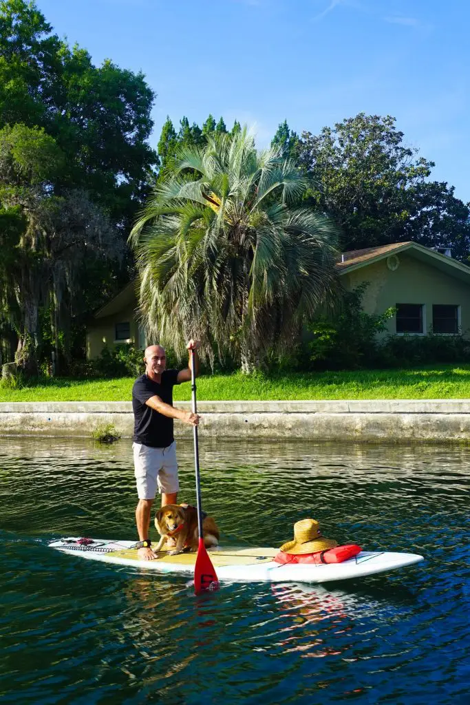 is it illegal to touch a manatee in florida