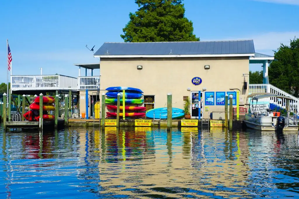 swimming with manatees florida