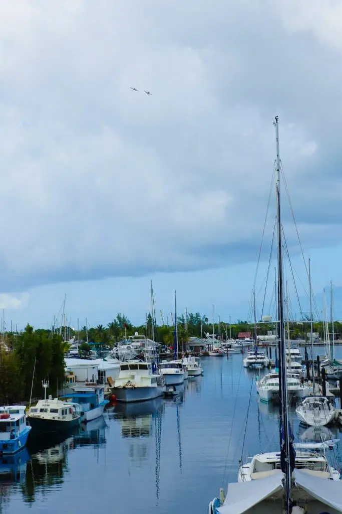 Perry Hotel Key West - Stock Island Marina Key West Fl