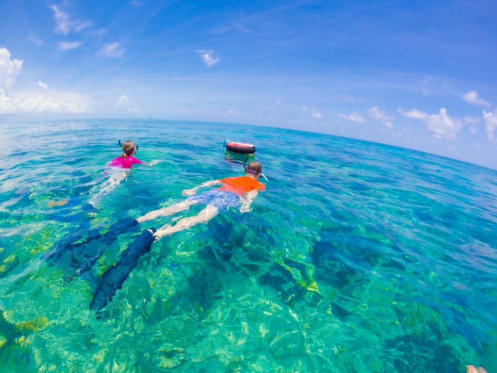 snorkeling in key west from shore