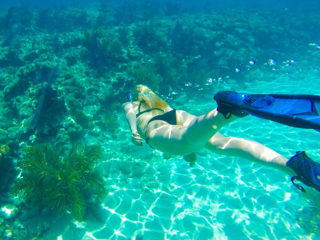 How To Find The Best Snorkeling In Key West: A Namaste Eco Excursions Review