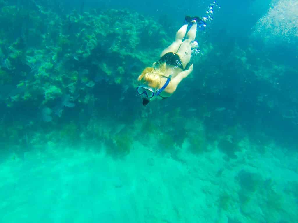 key west coral reef snorkeling