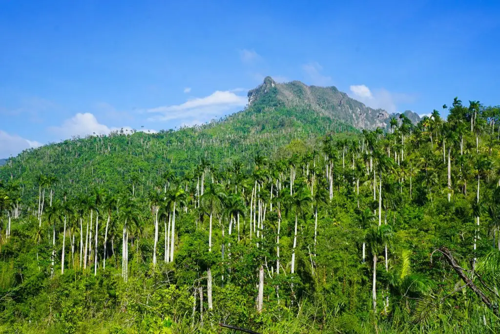 El Yunque Cuba Hike near Baracoa