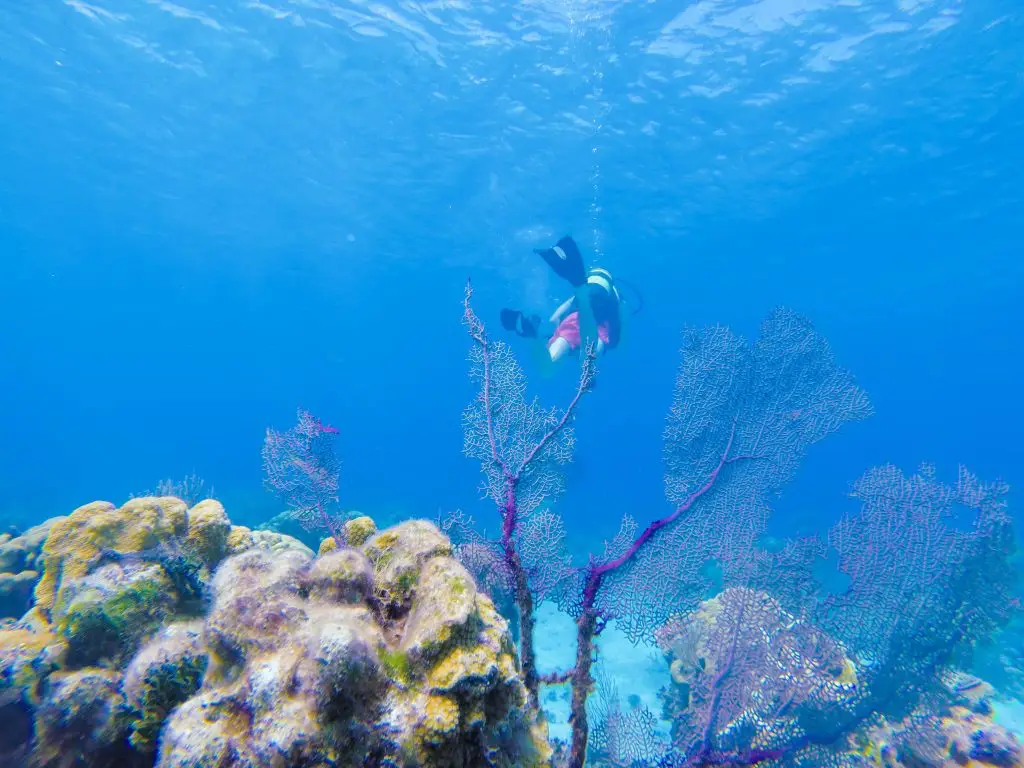 best scuba diving in Cuba