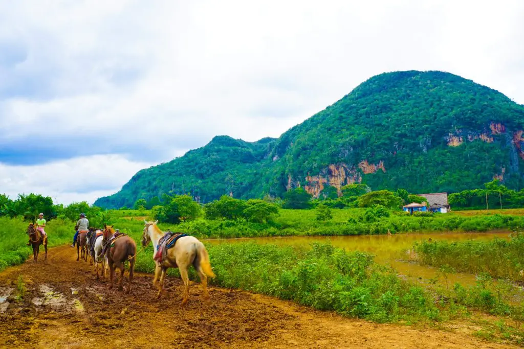 Viñales Valley UNESCO Site in Cuba - Horse Riding in CUba