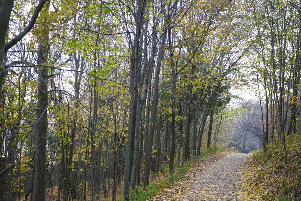 Quebec City in Fall