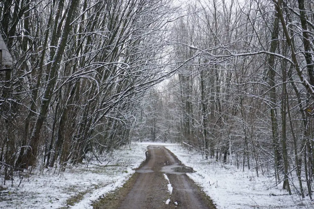 Chernobyl Pripyat empty road