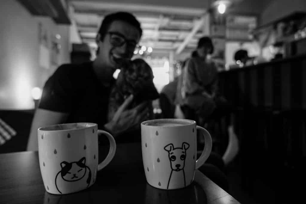 Pet Halfway House Taipei / Taipei Dog Cafe