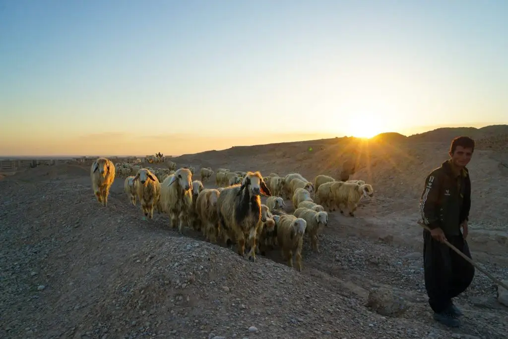 The Bakthari Nomadic People Shushtar Iran