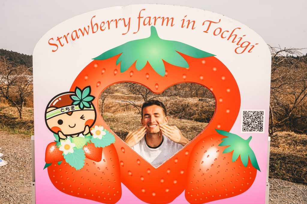 nikko day trip - Nikko Strawberry Farm