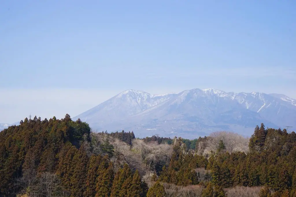 things to do in nasu japan | nasu alpaca farm from tokyo | tochigi things to do | nature things to do in japan