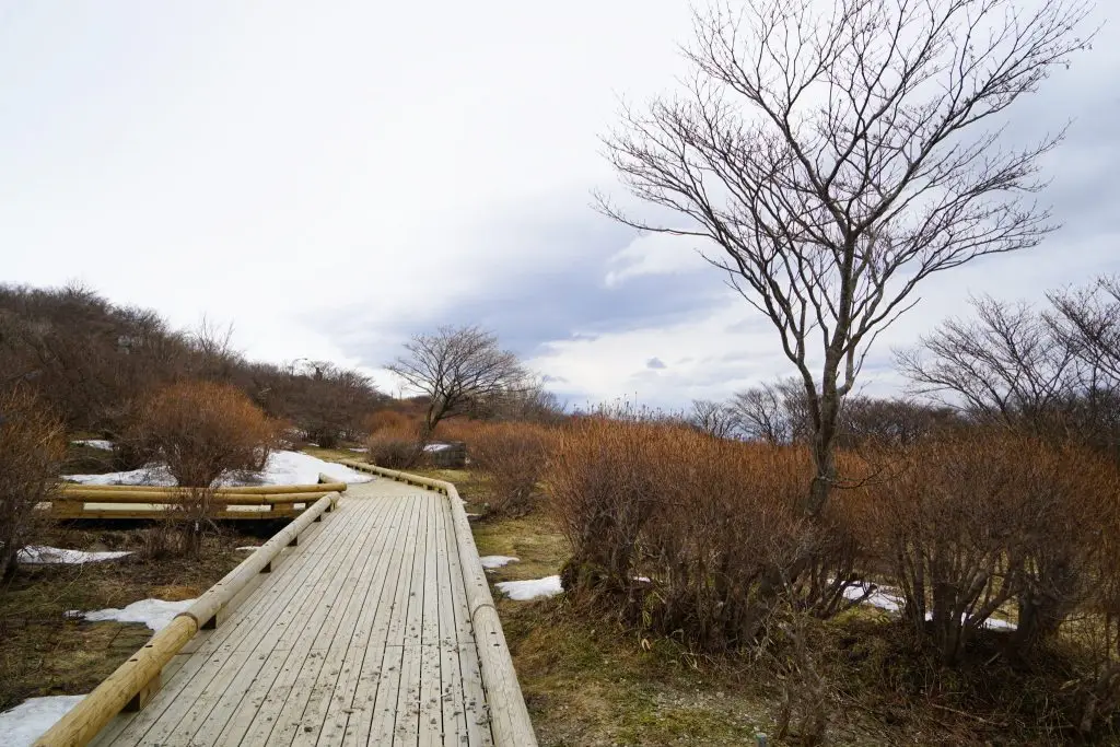 Yahata Park Nasu In Winter