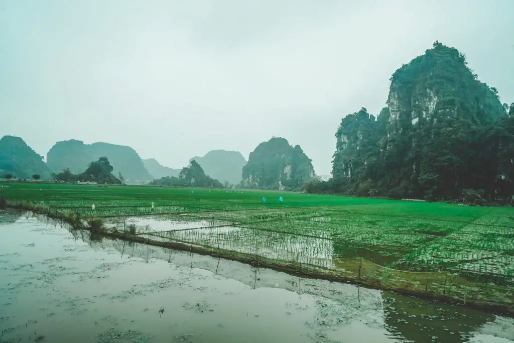 hang múa ninh bình / things to do in tam coc