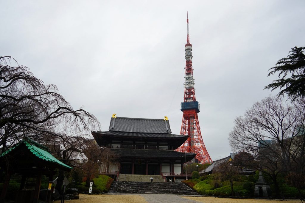 things to do in tokyo - tokyo tower and shrine