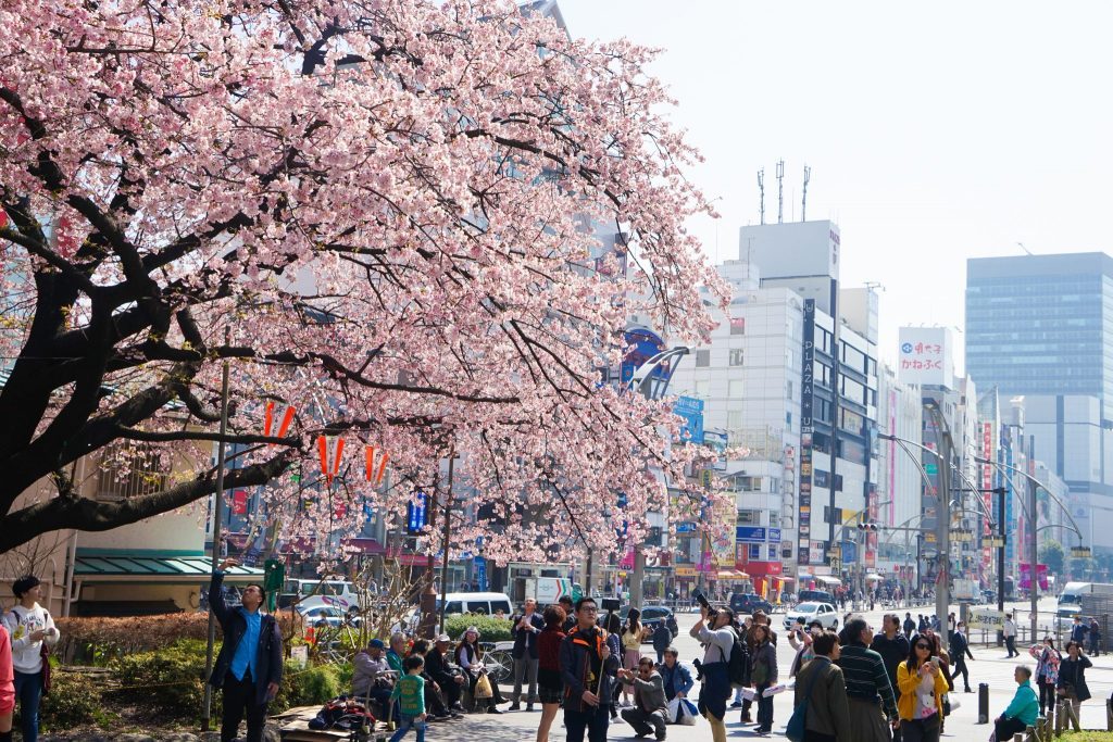 romantic things to do in tokyo ** things to do in tokyo ** what to do in tokyo ** tokyo attractions ** places to visit in tokyo **' width=
