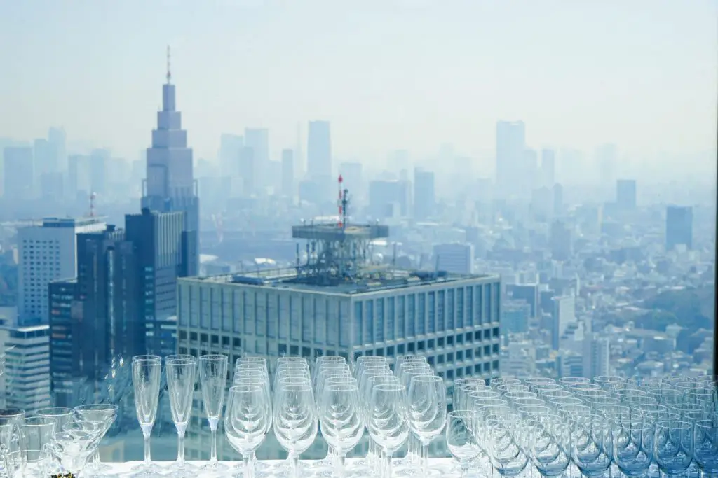 Free Tokyo Metropolitan Government Building