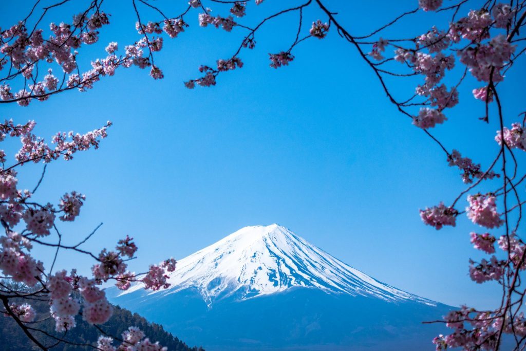 Mount Fuji on a day trip from Tokyo / what to do in tokyo in 3 days