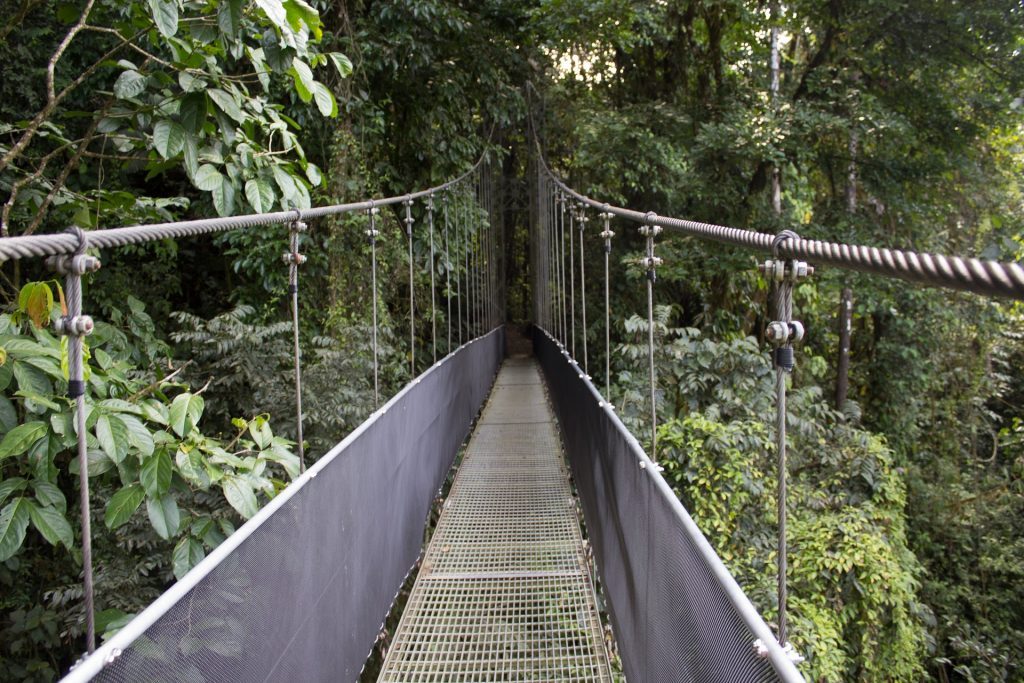 Tirimbina Biological Reserve | ecotourism holidays in Costa Rica