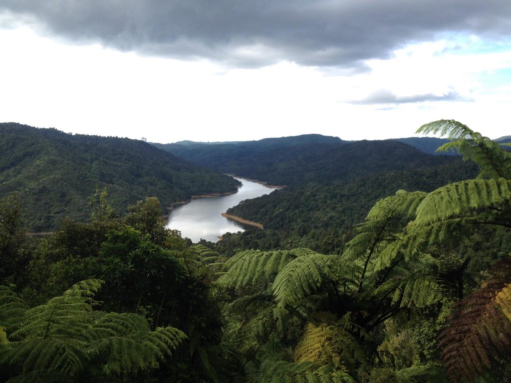 Hunua Walks | auckland to do | what to see in auckland | top 10 things to do in auckland