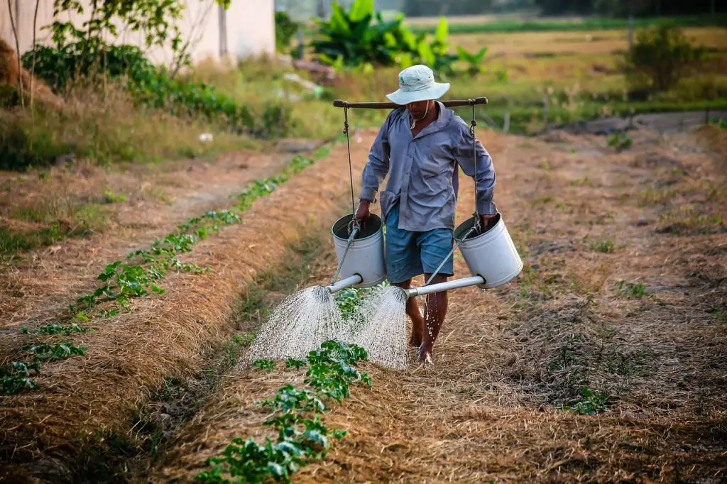 Scoot Around The Gorgeous Hoi An Countryside