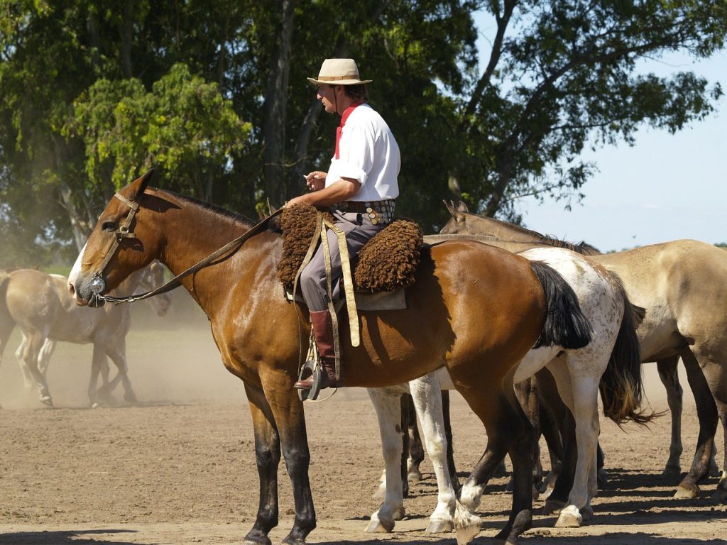 day trips from buenos aires | buenos aires tours | buenos aires city tour | buenos aires tourism | buenos aires day trips | buenos aires day tours | trips from buenos aires