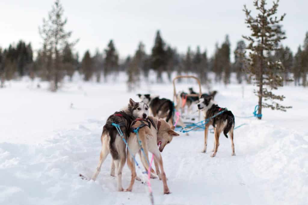 oulu winter activities | oulu travel guide | oulu finland tourism